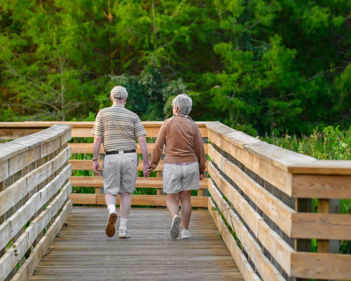 stroke rehabilitation